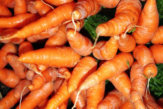 A background of fresh carrots.