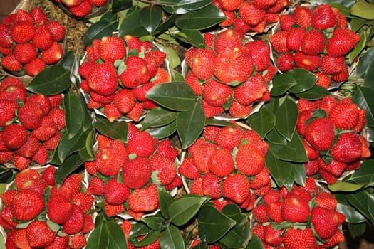 A background of fresh strawberry bowls for sale at a farm.