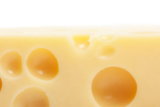 Macro view of piece of cheese