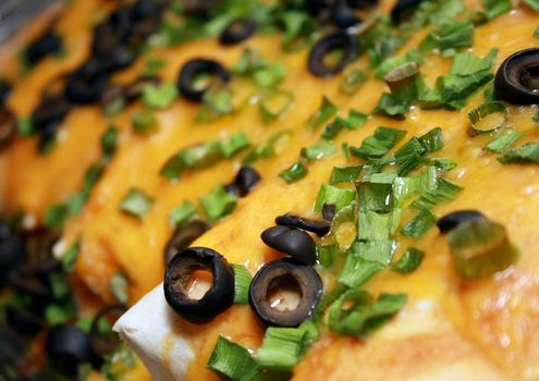 A pan full of hot, cheesy enchiladas