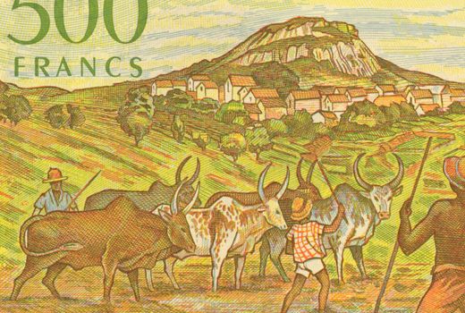 Herdsmen with Zerbus on 500 Francs 1995 Banknote from Madagascar.
