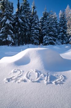 Year 2012 written in Snow in Winter Forest