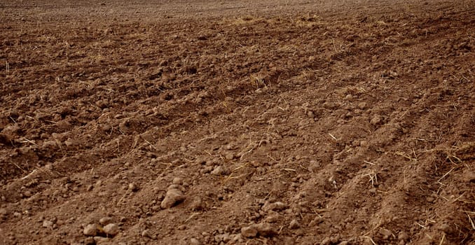 Brown soil of an agricultural field