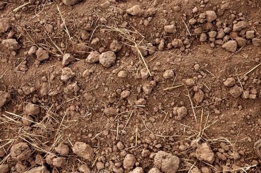 Brown soil of an agricultural field