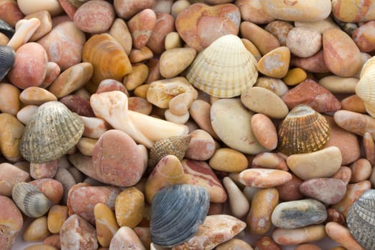 background from seashells and stones