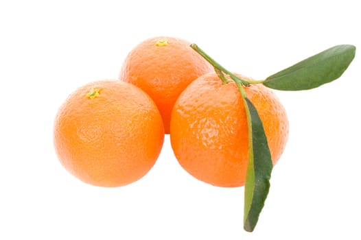 three tangerines with leaves, isolated on white