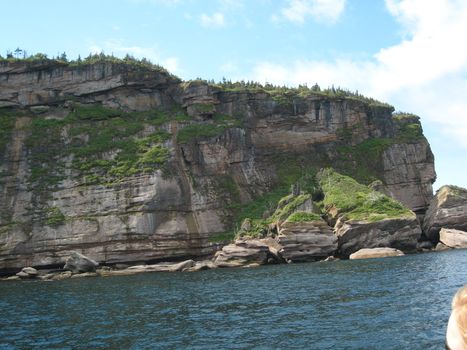 Bonaventure island in Gaspesie, Quebec, is a sanctuary for northern gannets birds