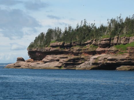 Bonaventure island in Gaspesie, Quebec, is a sanctuary for northern gannets birds.