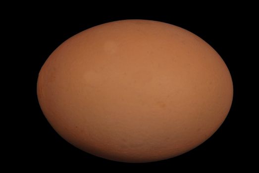 Brown egg on black background