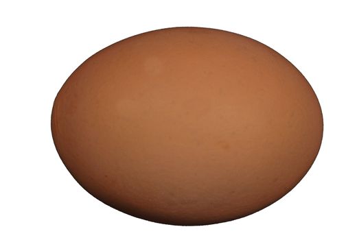 Brown egg on white background