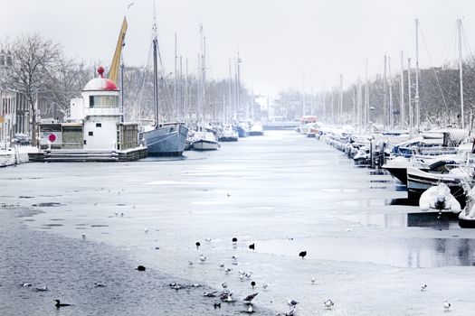 Snow in the city - harbor in winter, it is snowing - horizontal image