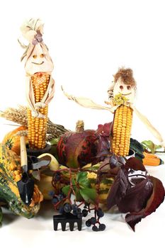 Autumn vegetables with corn dolls and wild vines on a white background