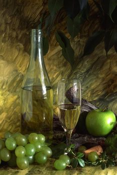 White wine and fruits isolated on painted background