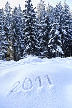 Year 2011 written in Snow with Winter Forest