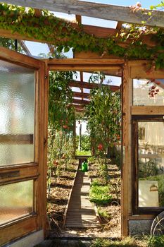 Private wooden Greenhouse with open Door, taken with D700