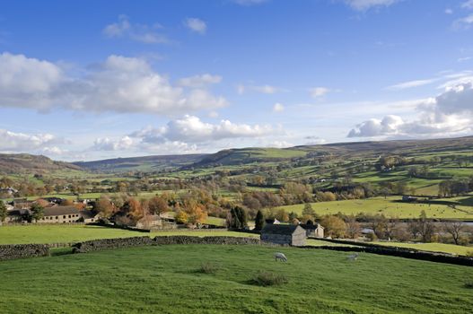 Farmalnd in Swaledale valley Yorkshire Dales England 