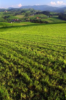 Farmland in rural Switzerland