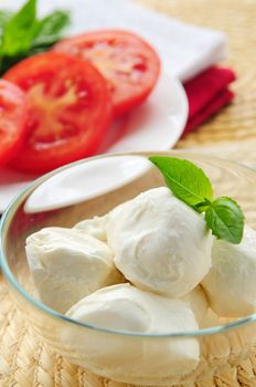 Bocconcini cheese, basil and sliced tomatoes - ingredients of traditional italian cuisine