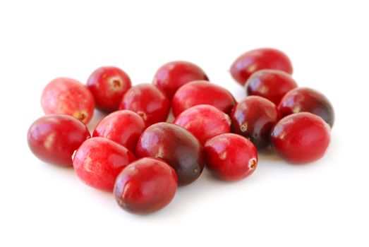 Fresh red cranberries macro on white background