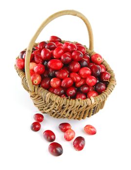 Fresh red cranberries in basket on white background