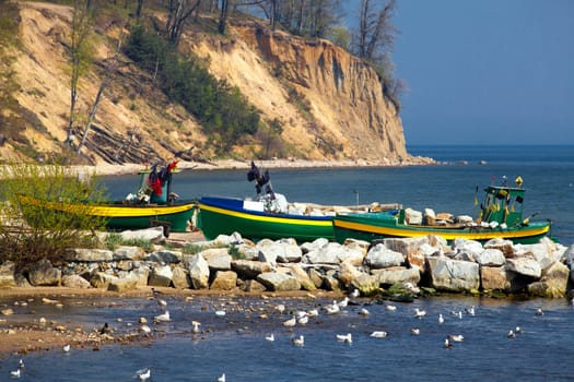 Summer landscape on the sunny beach
