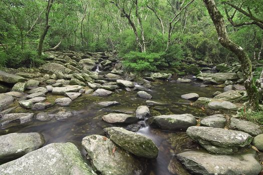 cascade of water through forest