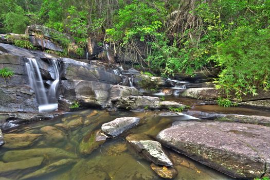 cascade of water through forest