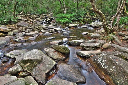 cascade of water through forest