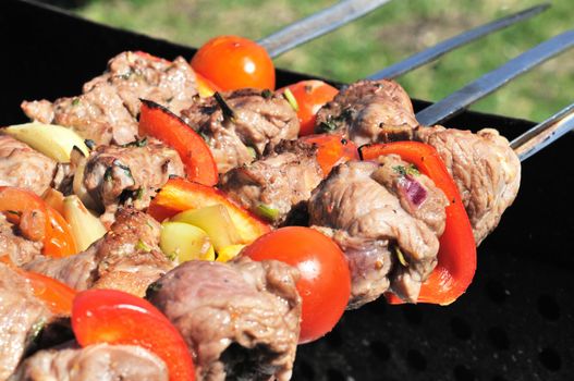 Kebabs, threaded on a skewer and grill.