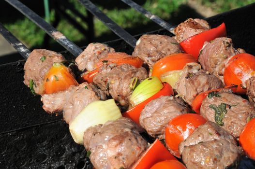 Kebabs, threaded on a skewer and grill.