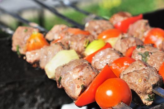 Kebabs, threaded on a skewer and grill.