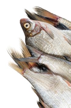 Several fresh freshwater fish. Bream and roach. Isolated on white.