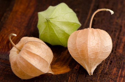 Physalis fruits closeup on top of old wooden table.