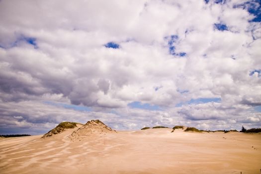 The moving sands in the Polish Desert near Leba