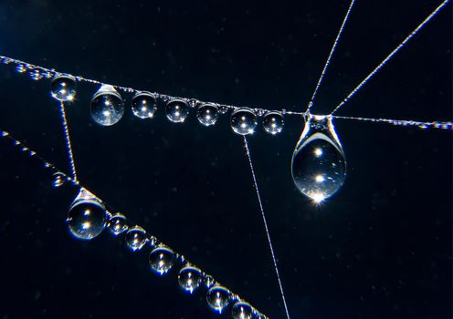 Closeup of morning dew on a spiderweb