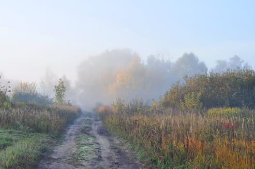 Landscape, autumn morning, vicinities of a Moscow suburbs, Russia