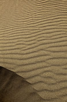 Abstract image showing light and shadow areas in sand dune detail