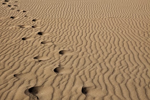 Abstract image showing footstep trail in desert sand dunes