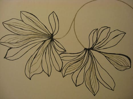 Wallpaper patterns with beautiful flowers