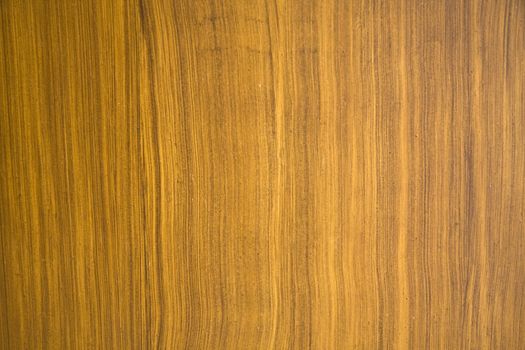Texture of old wood background closeup