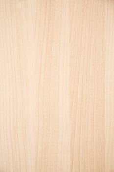 Texture of wood background closeup