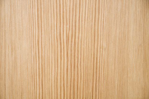Texture of wood background closeup