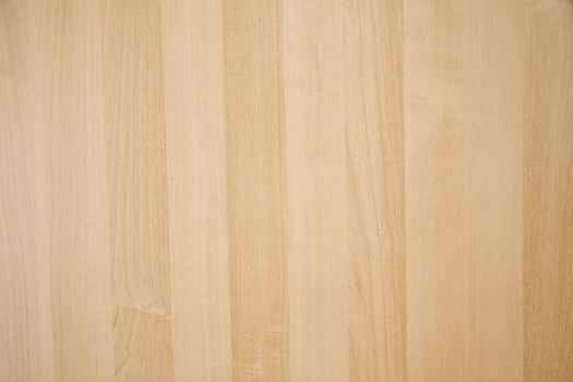 Texture of wood background closeup
