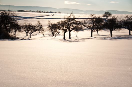 Group of young people walkong in fresh powder snow