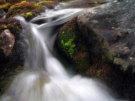 Mountain stream