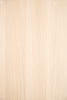 Texture of wood background closeup