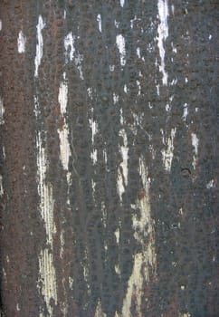 Texture of fence weathered wood background 
