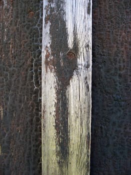 Texture of fence weathered wood background 
