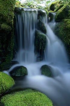 Beautiful small waterfall in forest