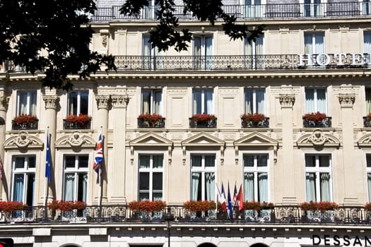Apartments with beautiful flowers in balcony closeup in Paris